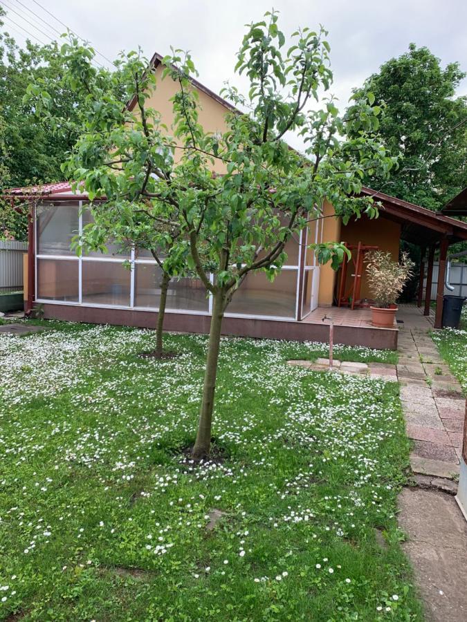 Eoetvoes Vendeghaz Villa Hajduszoboszlo Luaran gambar